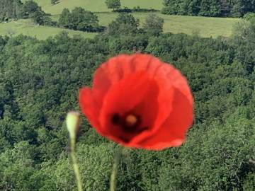Chambre Chez L'habitant Savigny 223494-8