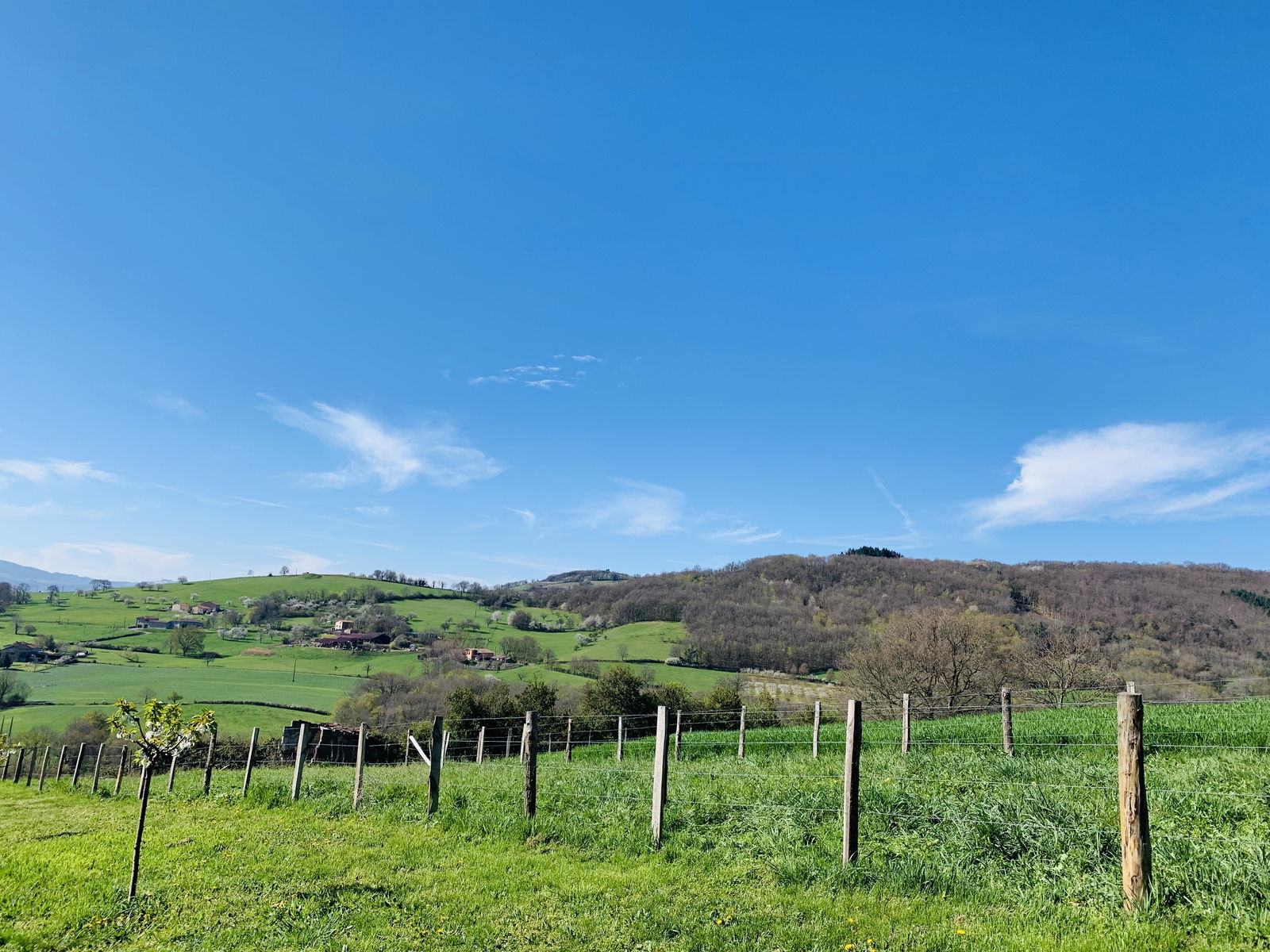 Homestay Savigny 223494