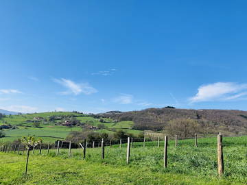 Chambre Chez L'habitant Savigny 223494-9