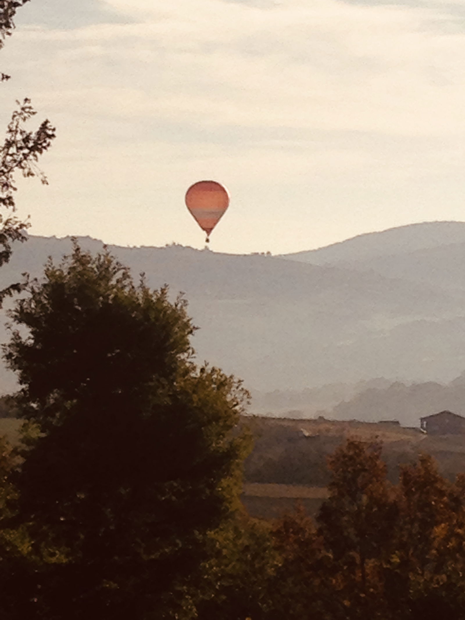 Homestay Savigny 223494
