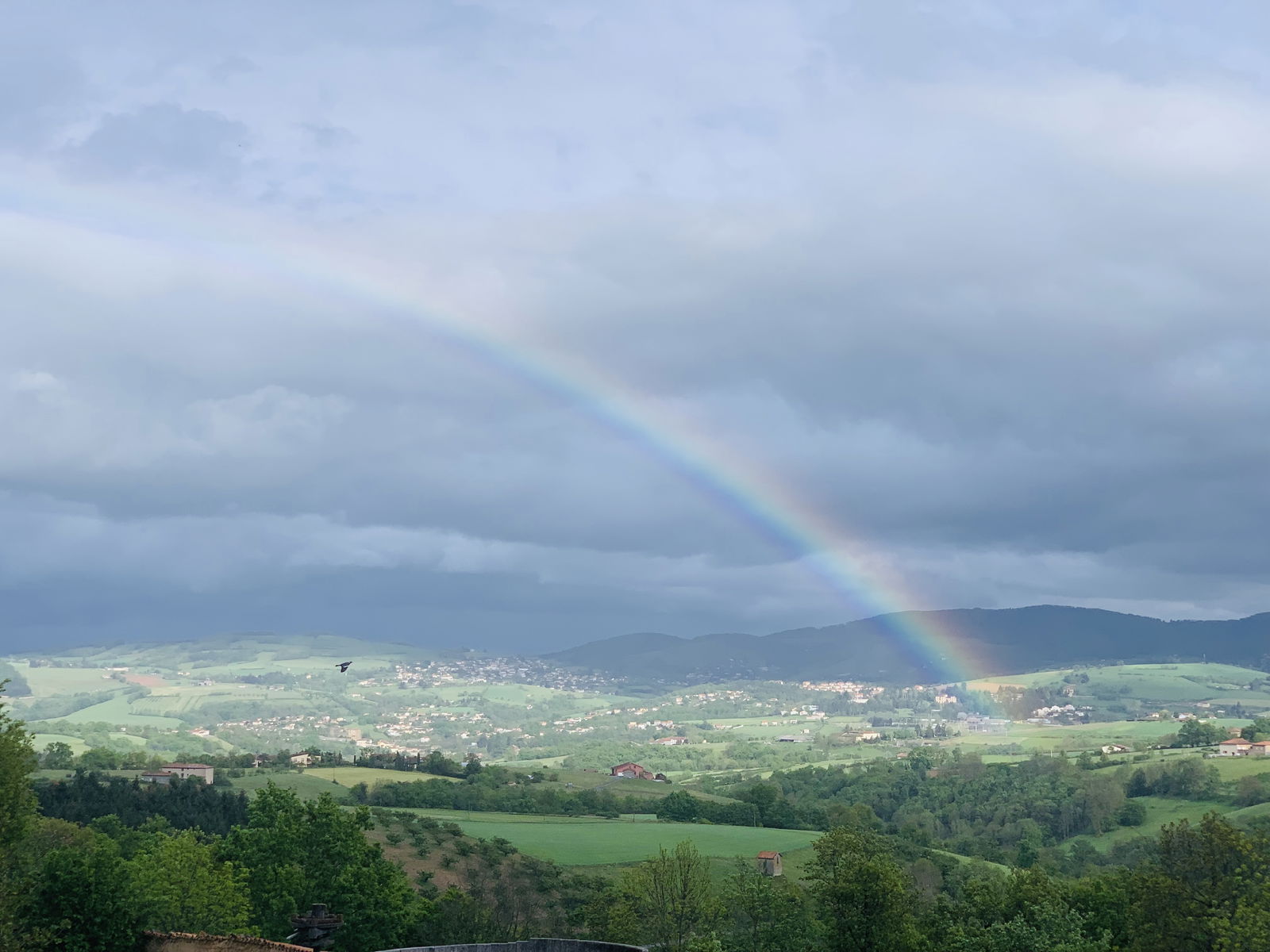 Homestay Savigny 223494