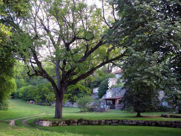 Homestay Saint-Paul-le-Jeune 104231