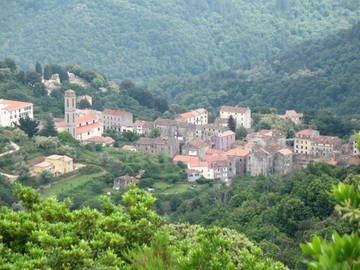 Chambre D'hôte Cauro 77050-6