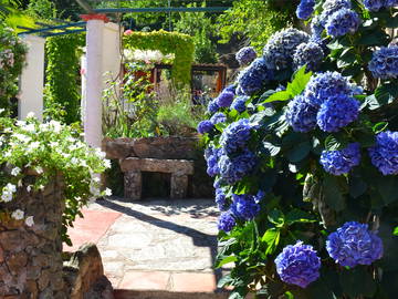 Chambre D'hôte Cauro 77050-9