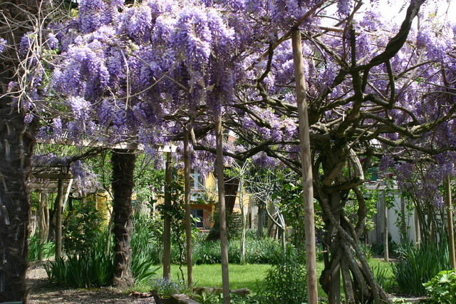 Bed And Breakfast Gaillac 46884