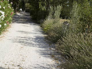 Gästezimmer Dions 9118-2