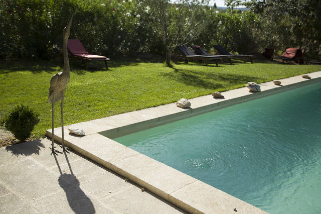 Bed And Breakfast Dions 9118