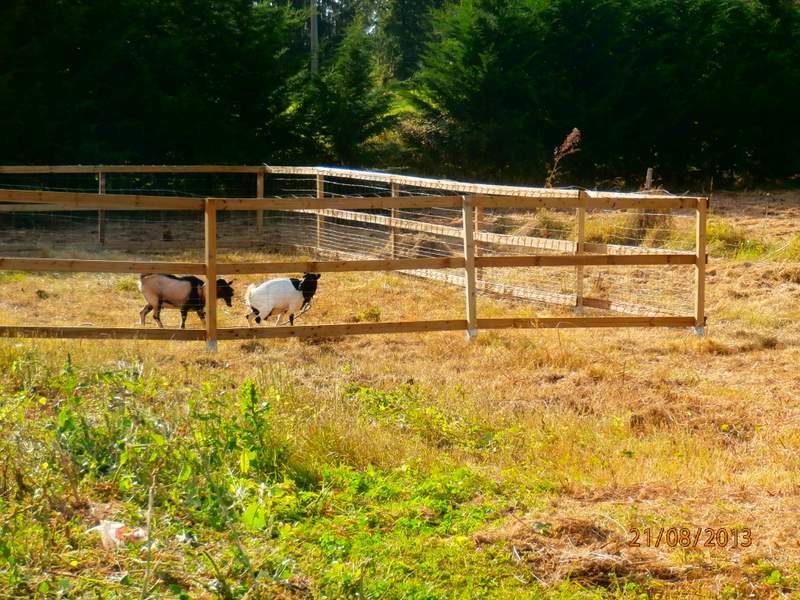 Bed And Breakfast Anlhiac 88422