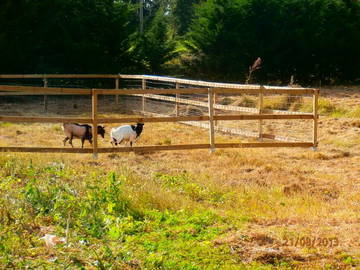 Chambre D'hôte Anlhiac 88422-9