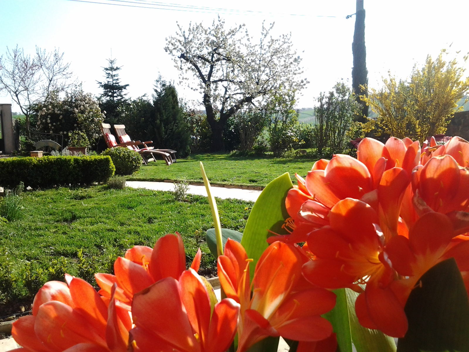 Bed And Breakfast Savigny 66392