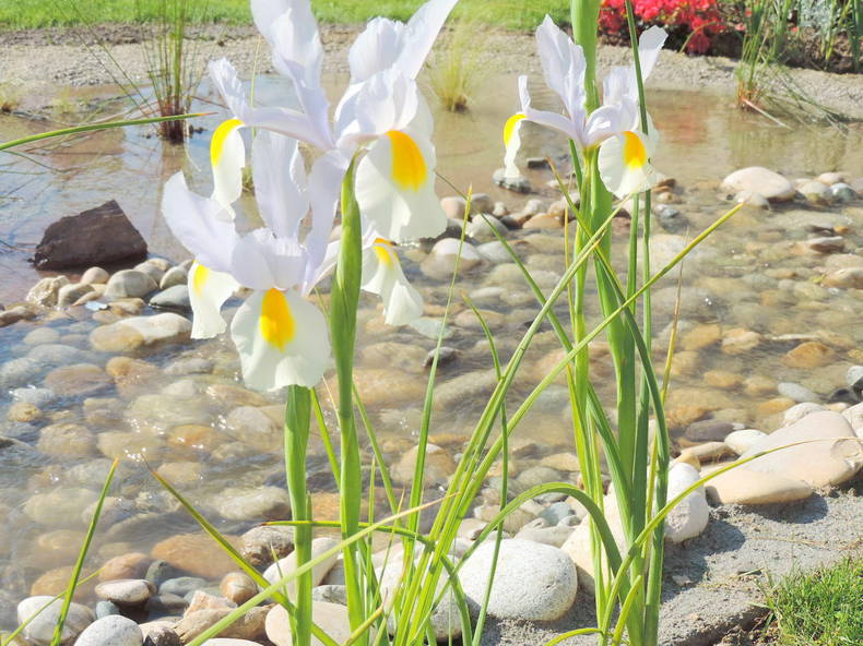 Chambres D'hôtes Betton 96962-4