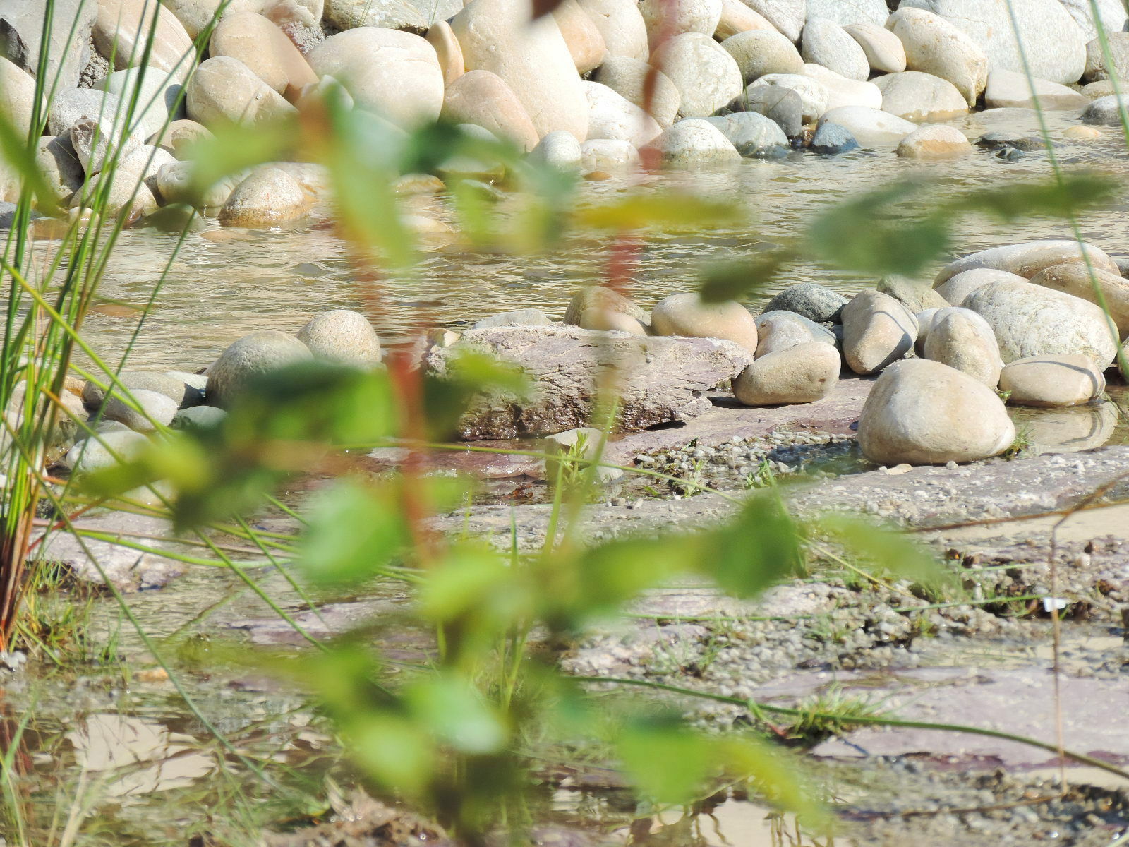 Bed And Breakfast Betton 96962