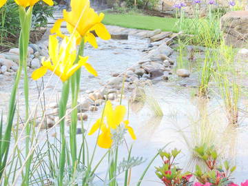 Chambre D'hôte Betton 96962-9