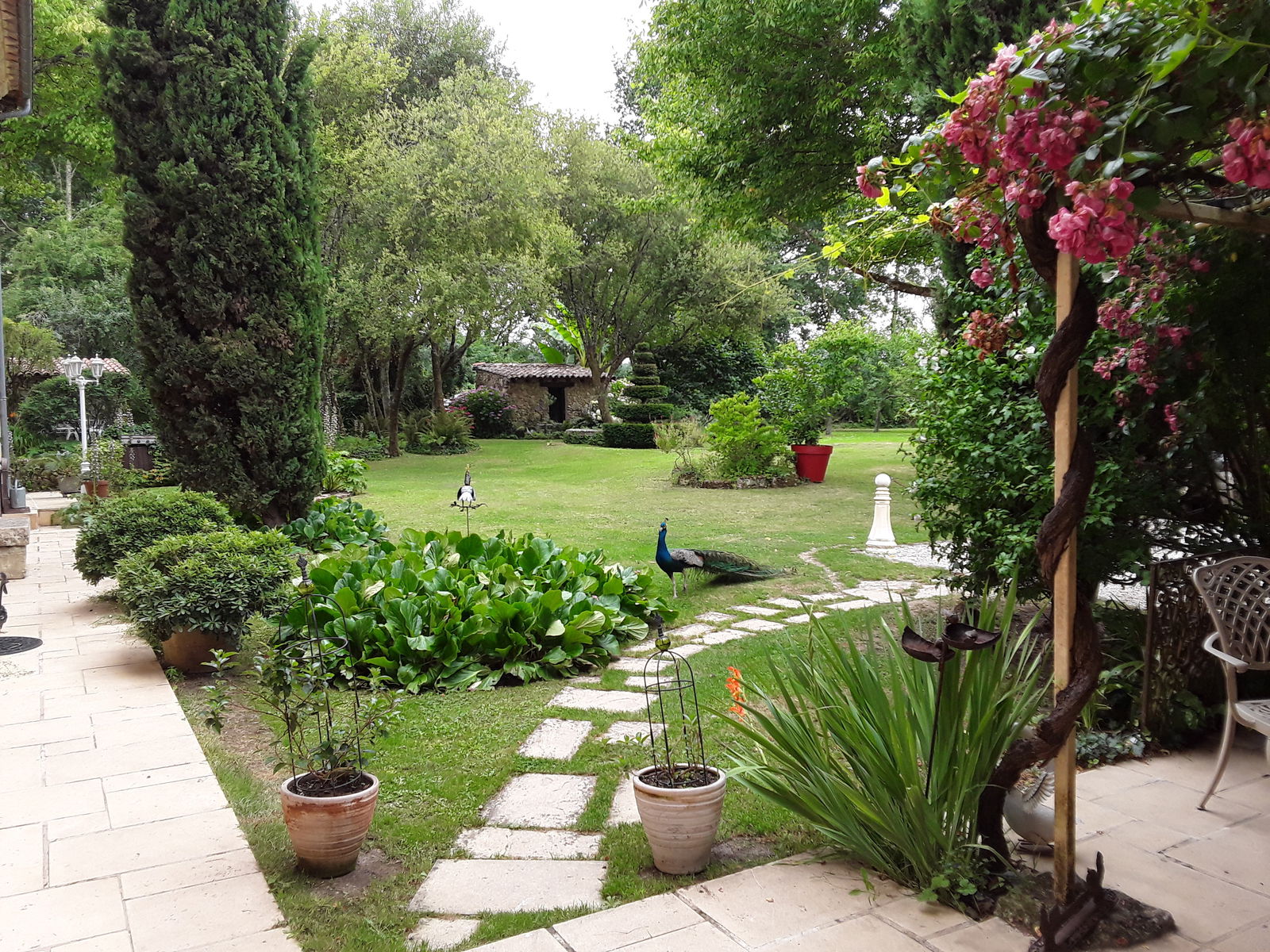 Bed And Breakfast Saint-Caprais-de-Bordeaux 97773