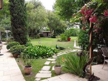 Chambre D'hôte Saint-Caprais-De-Bordeaux 97773-10