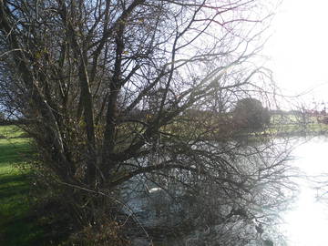 Chambre D'hôte Saint-Germier 75270-7