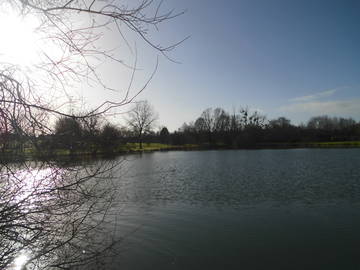 Chambre D'hôte Saint-Germier 75270-8