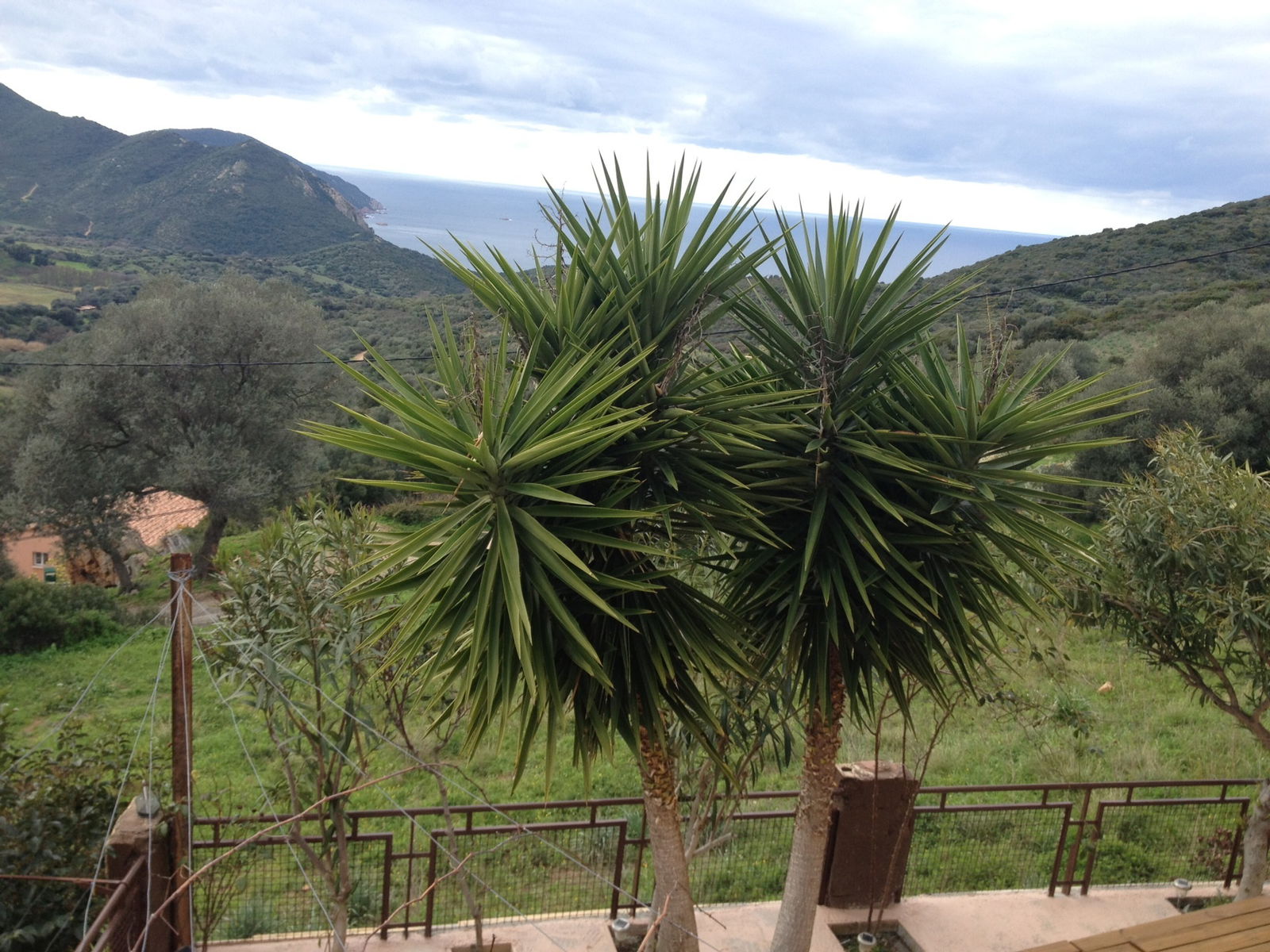 Bed And Breakfast Ajaccio 30239