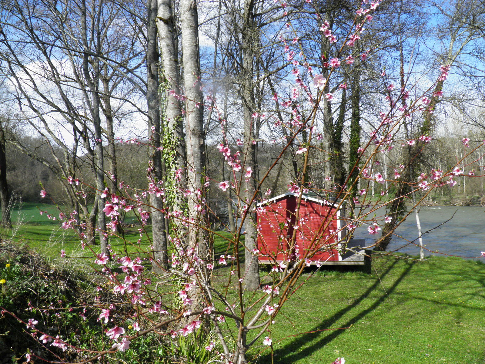 Bed And Breakfast Saint-Martory 73842