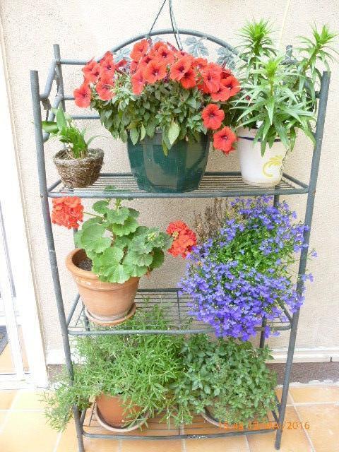 Bed And Breakfast Agde 108927