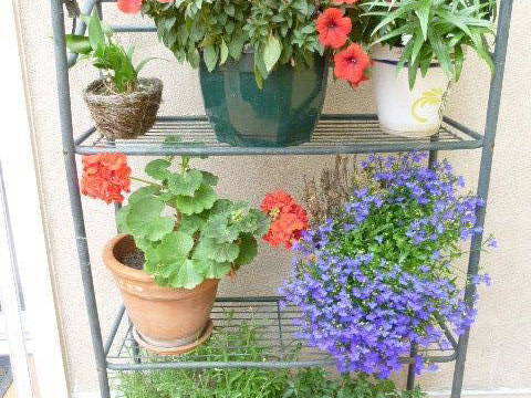 Bed And Breakfast Agde 108927-2