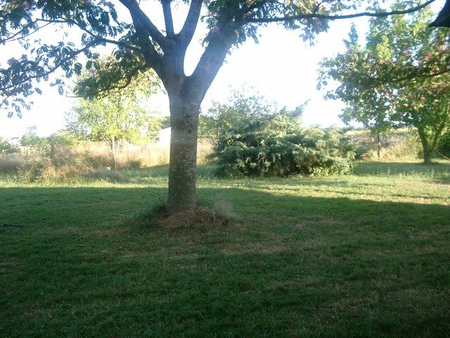 Collocazione Eugénie-les-Bains 40226