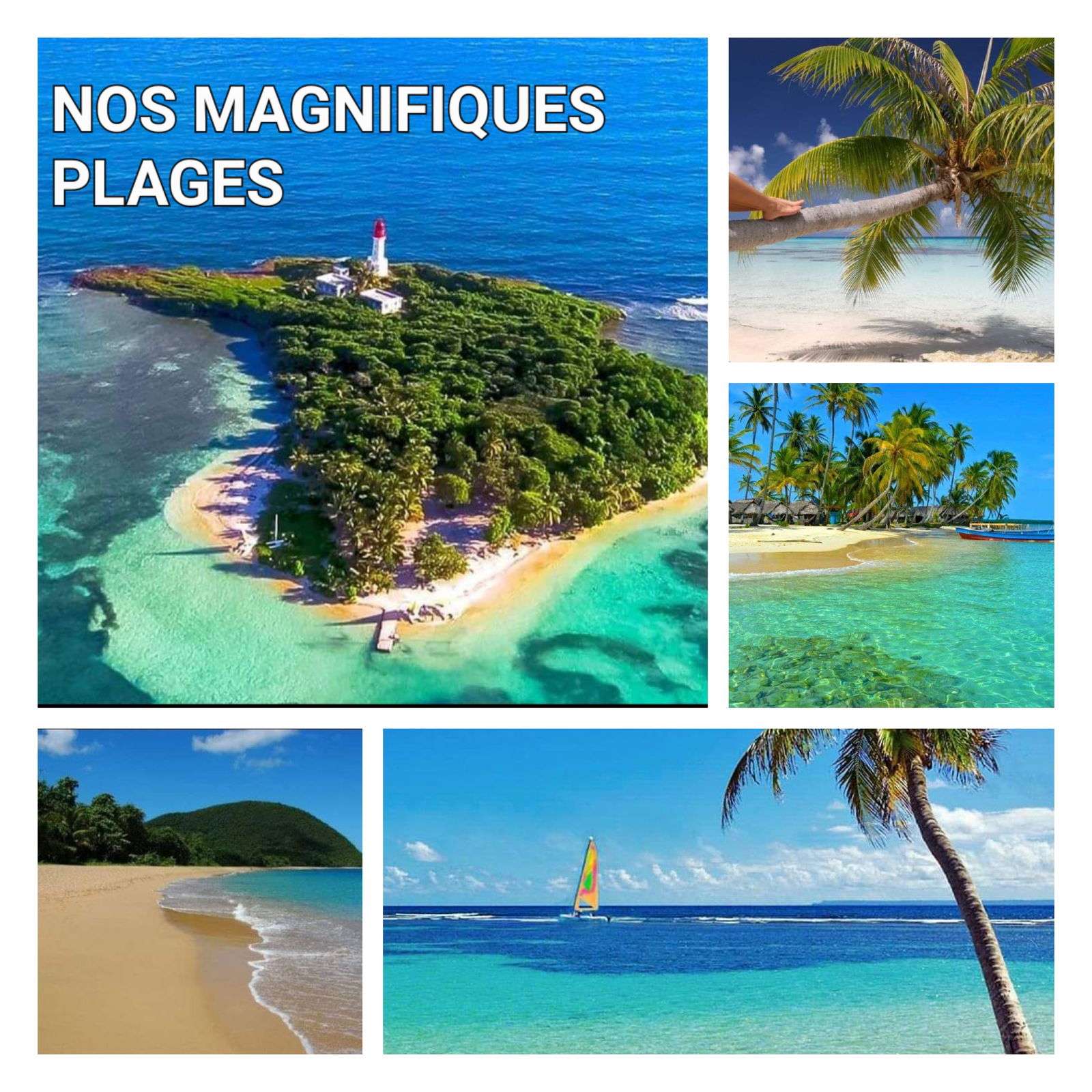 Gastfamilie Le Gosier 265276