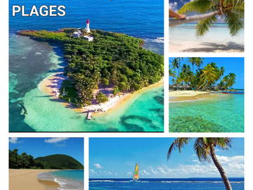 Chambre Chez L'habitant Le Gosier 265276-14