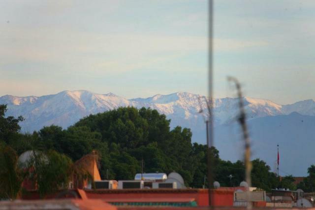 Famiglia Marrakech 42447
