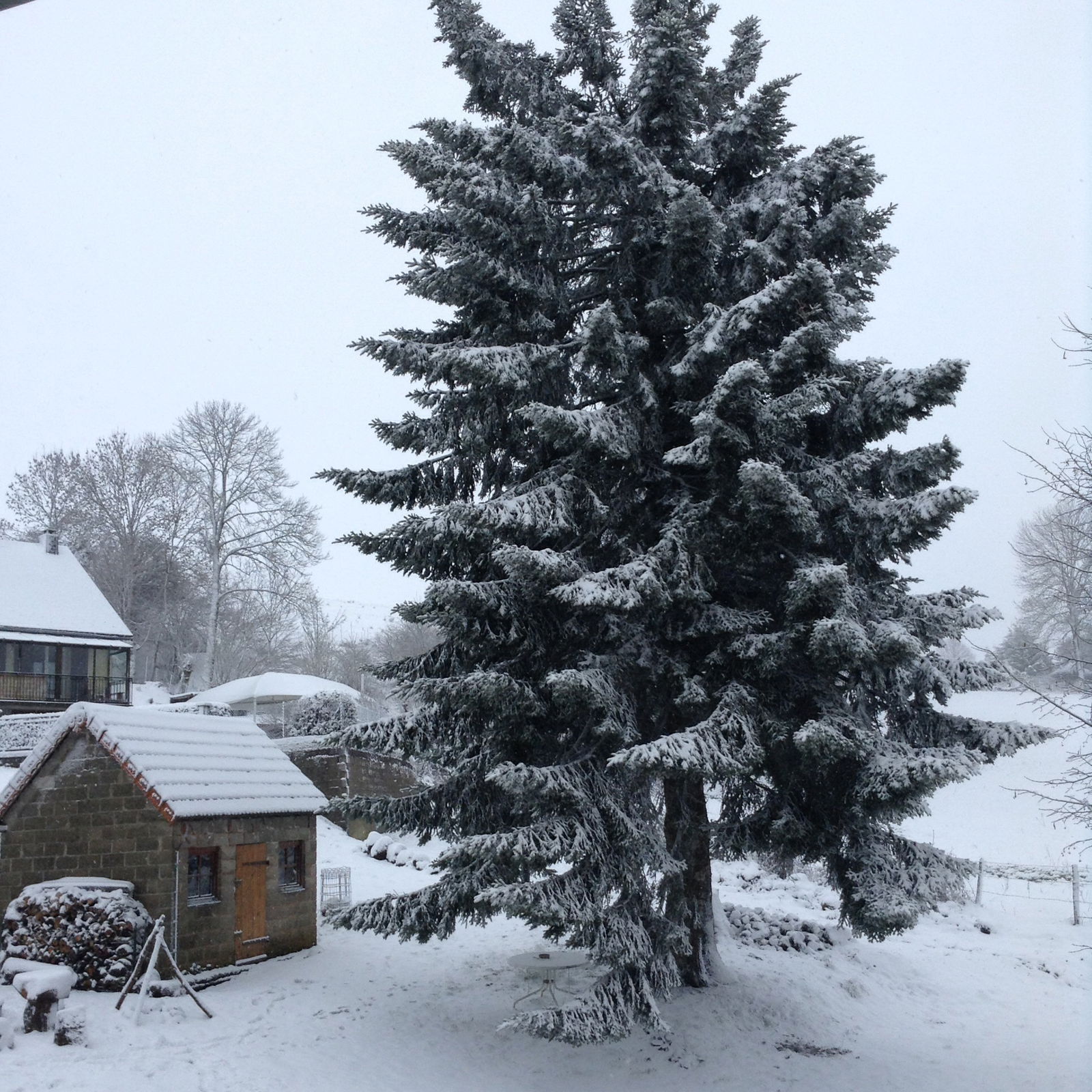 Camere Per Gli Ospiti Tauves 83807