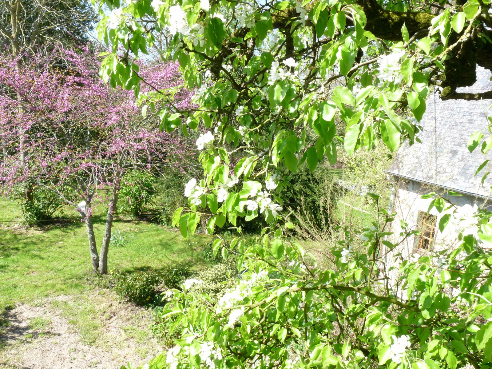 Camere Per Gli Ospiti Cottun 96375