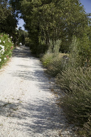 Camere Per Gli Ospiti Dions 9118