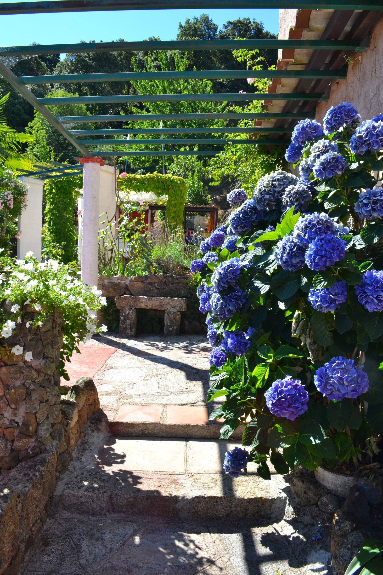 Camere Per Gli Ospiti Cauro 77050