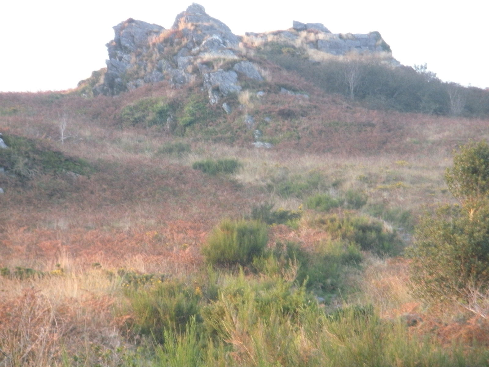 Famiglia Botmeur 61381