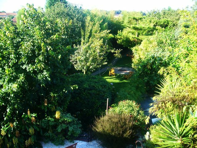 Bed And Breakfast Aveiro 40721