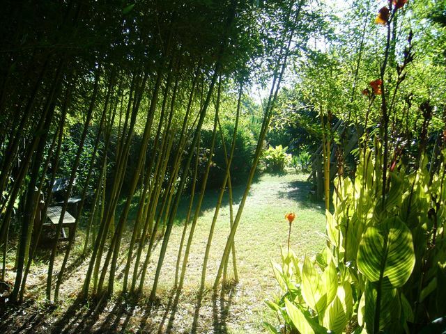 Bed And Breakfast Aveiro 40721