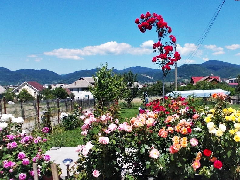 Quedarse En Casa Baia Mare 110640-2