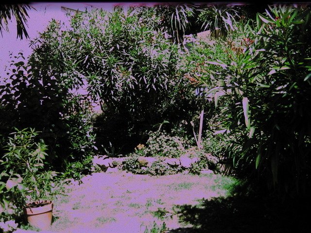 Bed And Breakfast Saint-Amans 36831