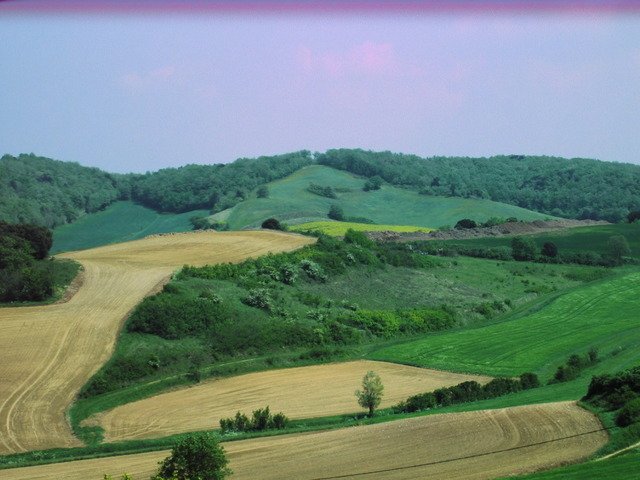 Bed And Breakfast Saint-Amans 36831