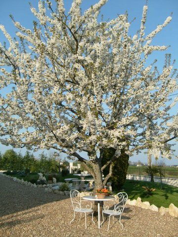 Bed And Breakfast Souvigné 34508