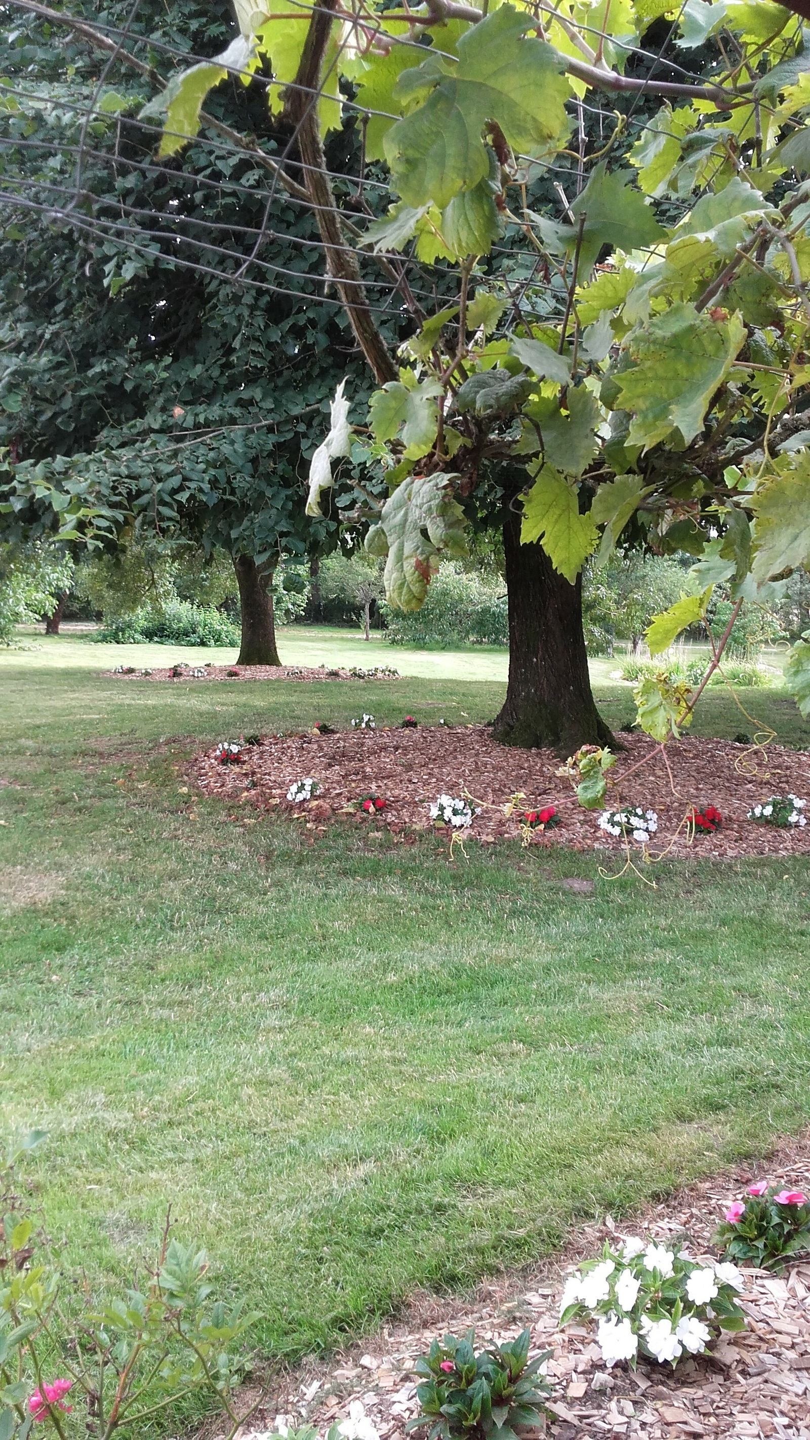 Bed And Breakfast Centre-Val de Loire 177721