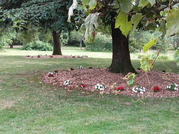 Chambre D'hôte Centre-Val De Loire 177721-4