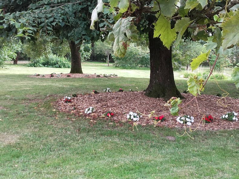 Gastenkamers Centre-Val de Loire 177721-4