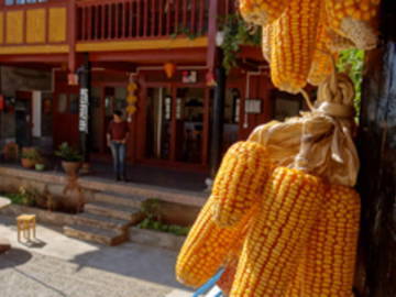 Bed And Breakfast Lijiang 37106-6