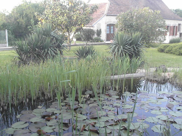 Bed And Breakfast Saint-Hilaire-les-Andrésis 3460