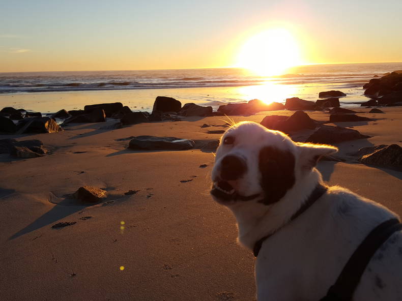 Gastfamilie Barcelos 156929-2