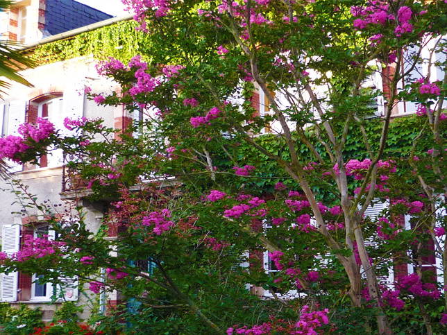 Bed And Breakfast Izaut-de-l'Hôtel 72487-2