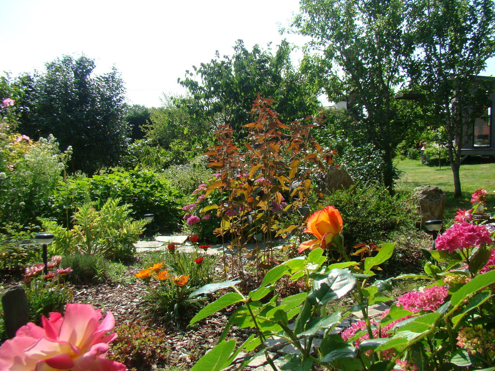 Bed And Breakfast Riec-sur-Bélon 125935