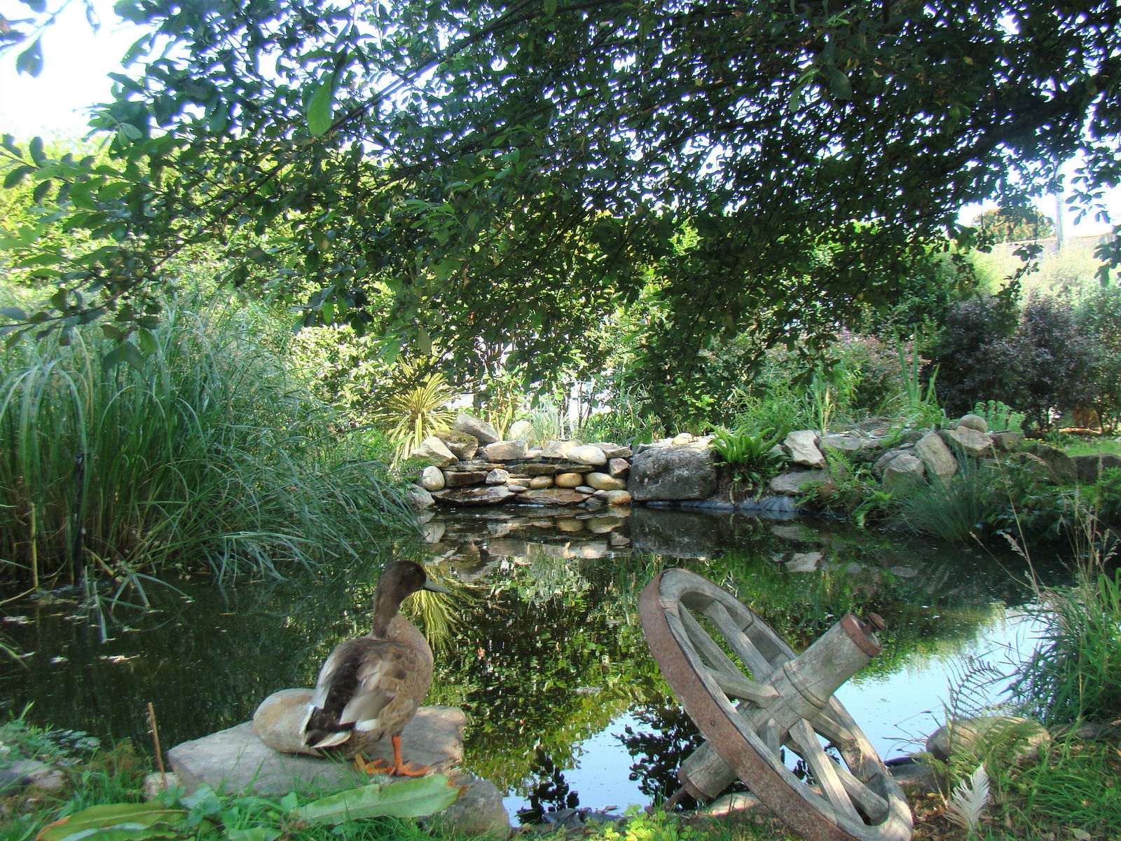 Bed And Breakfast Riec-sur-Bélon 125935