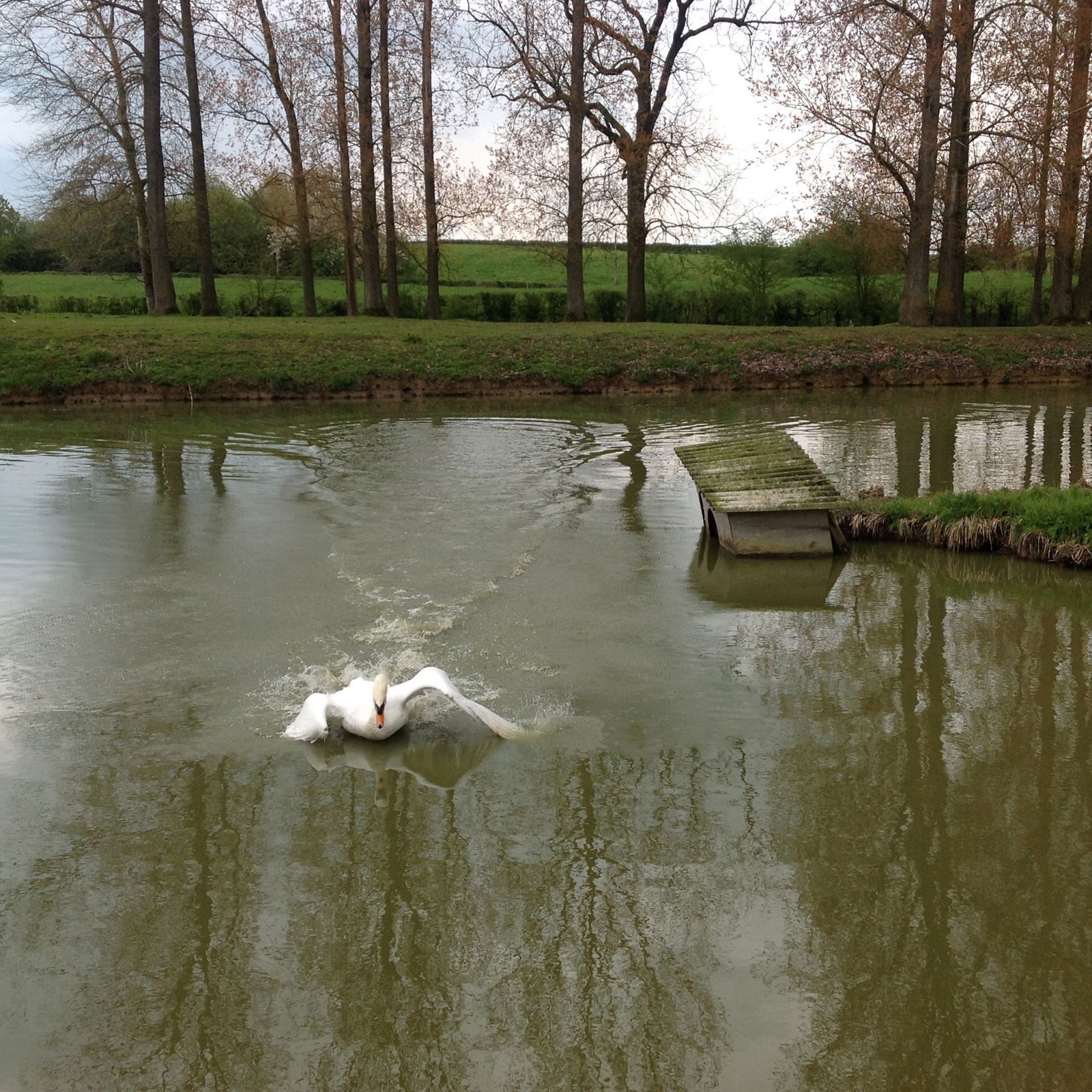 Bed And Breakfast Romeries 133270